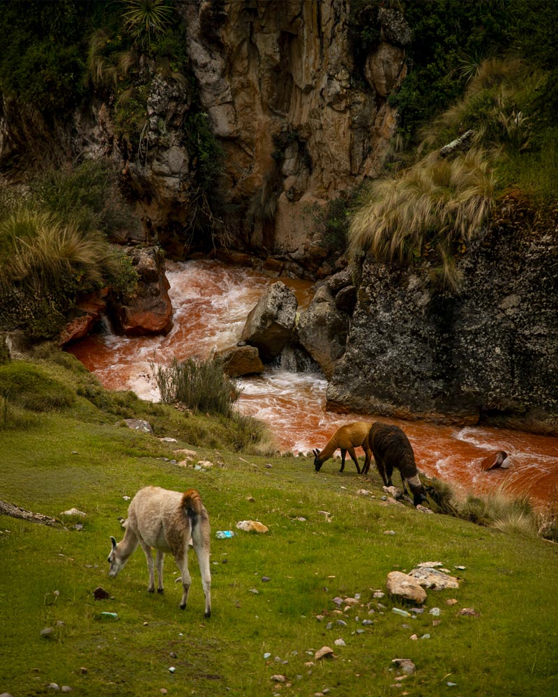 O impressionante Rio Vermelho na colorida rota de montanha de Palccoyo