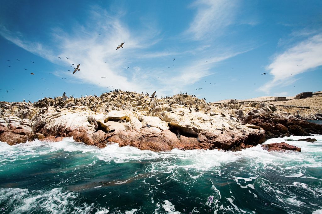 Paracas e as Ilhas Ballestas