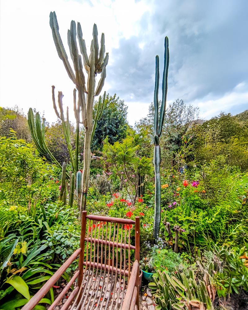 Jardim Botânico Felipe Marín Moreno
