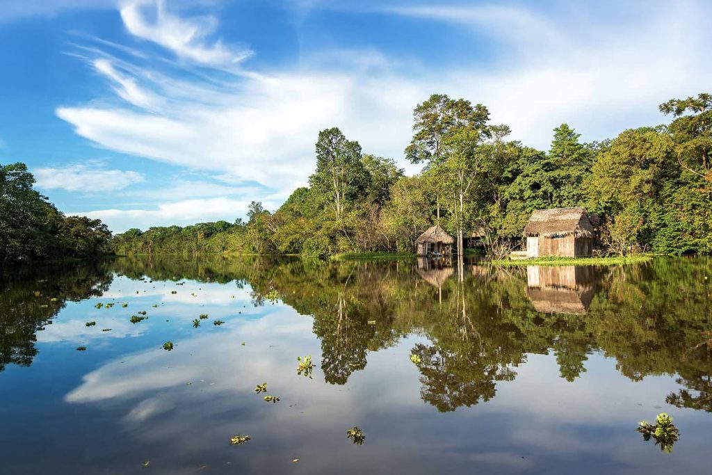 Selva do Peru