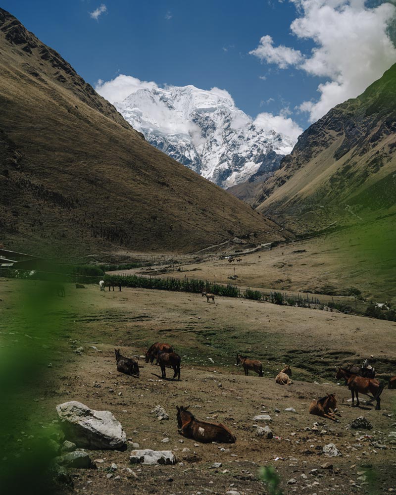 Vista panorâmica do acampamento de Soraypampa com a montanha Salkantay ao fundo.