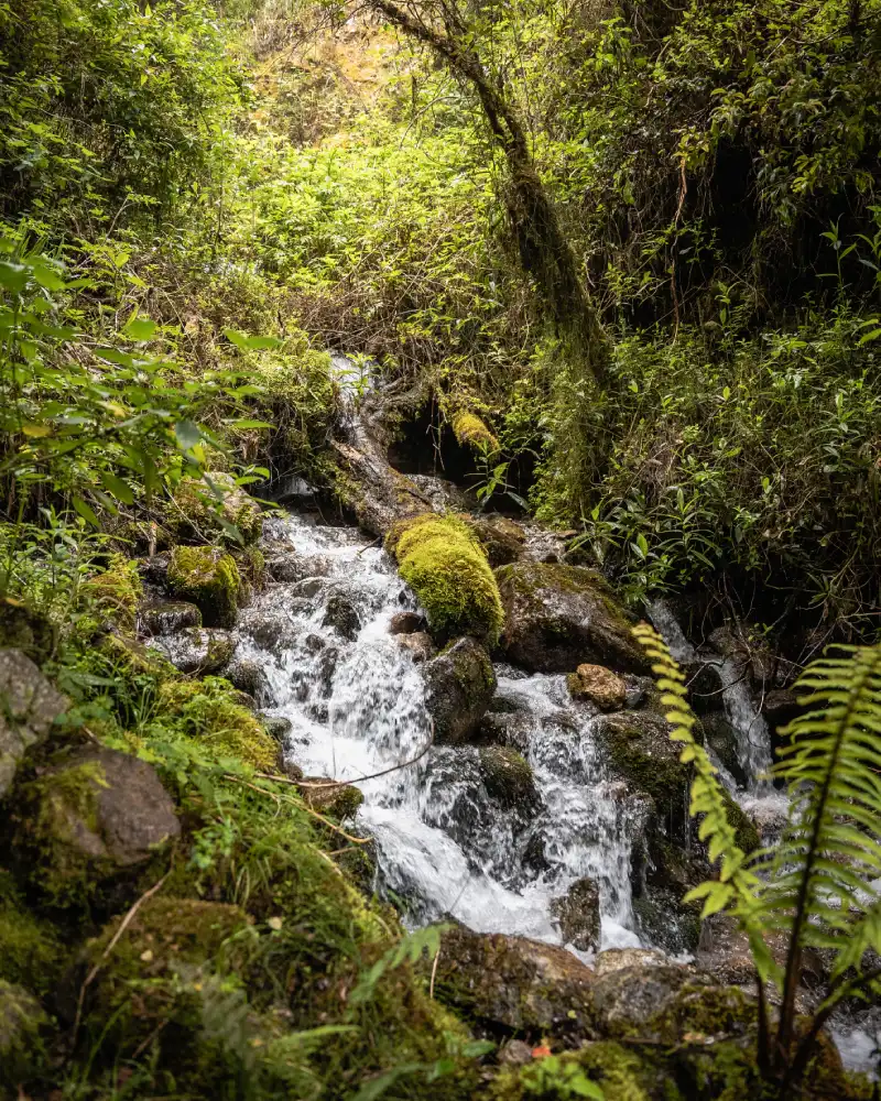 Paisagens na Trilha Inca, uma cachoeira com vegetação abundante