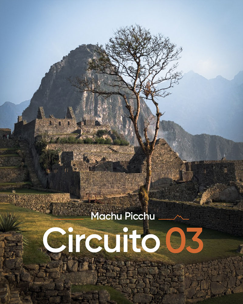 Foto de Machu Picchu no circuito 3, com a árvore Pisonay e a montanha Huayna Picchu ao fundo, com um desenho sobreposto do Circuito 3.