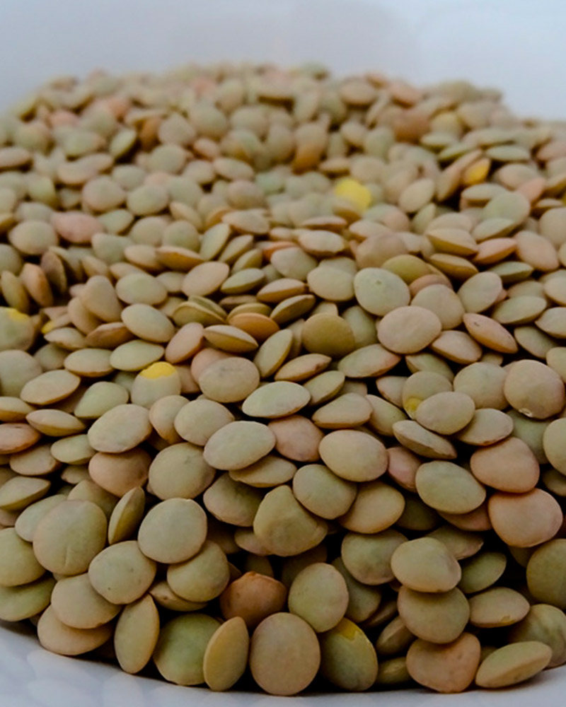 Lentilhas de Ano Novo