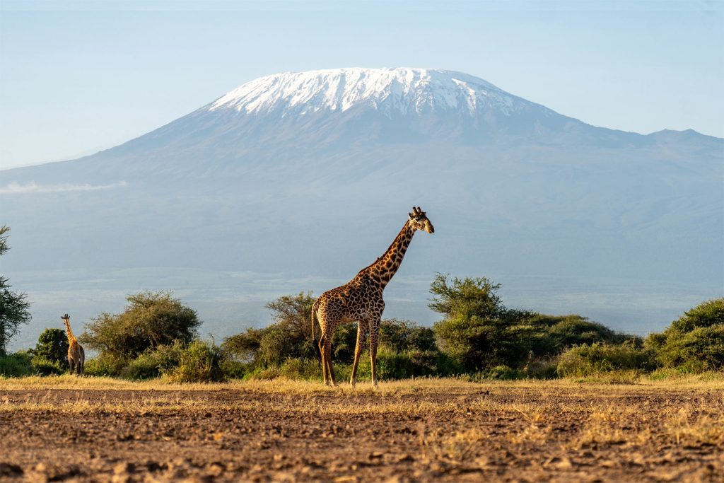 Monte Kilimanjaro, Tanzânia
