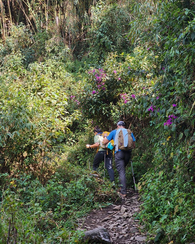 Caminhando pela floresta tropical até Choquequirao.