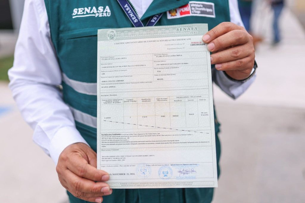 Passaporte de animal de estimação e certificado veterinário oficial com carimbos.