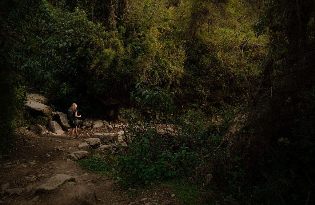 Uma pessoa solitária caminha por uma trilha panorâmica cercada por árvores em uma floresta exuberante, um ambiente perfeito para quem está começando a fazer trilhas.