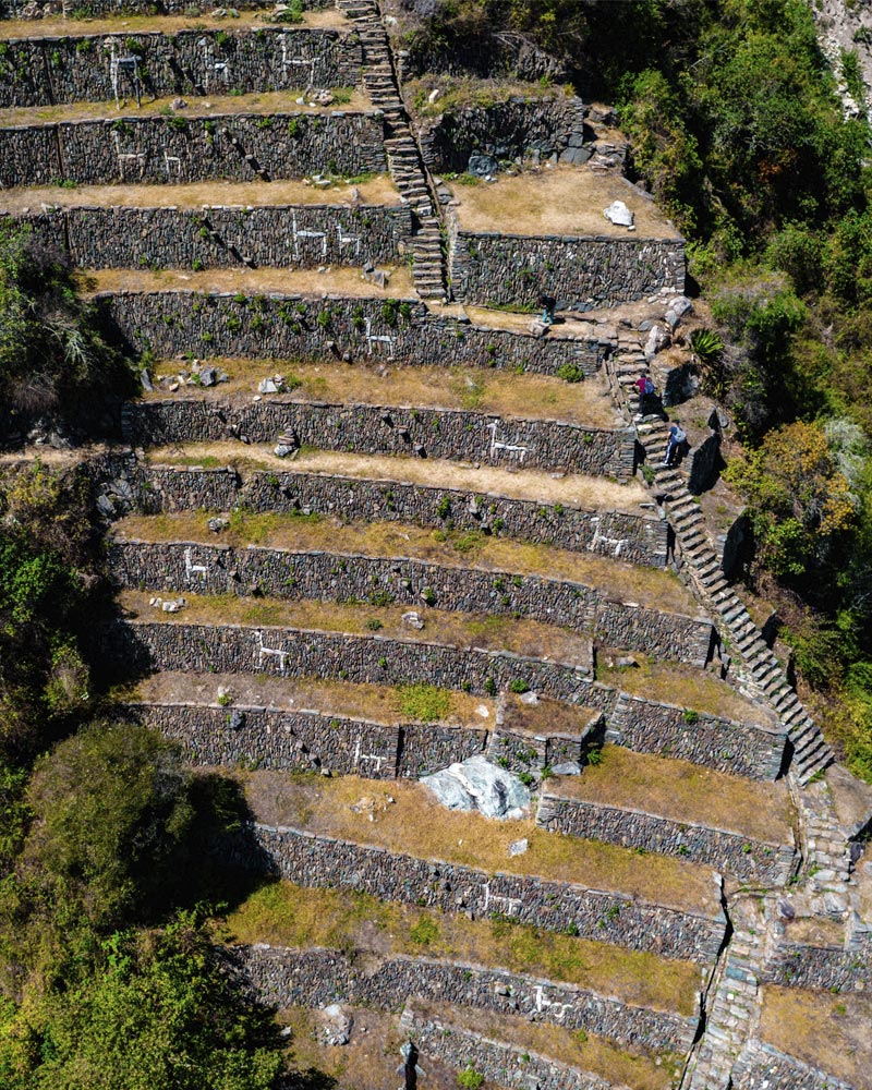 Os terraços de lhamas de Choquequirao