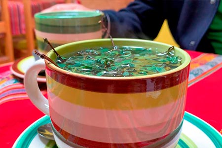 Tés e Infusiones Naturales que Puedes y Debes Probar en Cusco