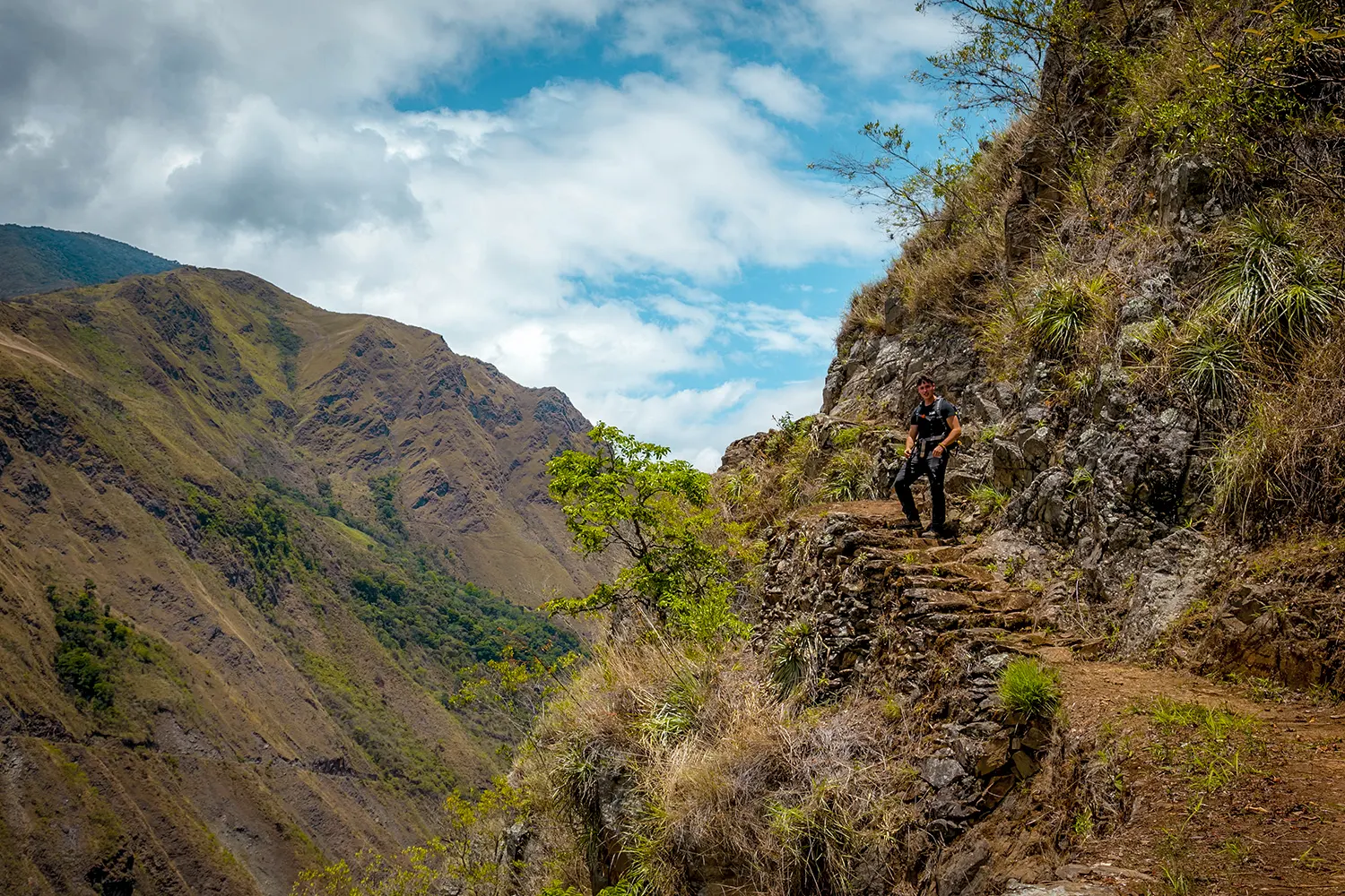 A aventura na Selva Inca, através da fascinante floresta nublada
