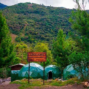 Campamento privado Jungle Domes