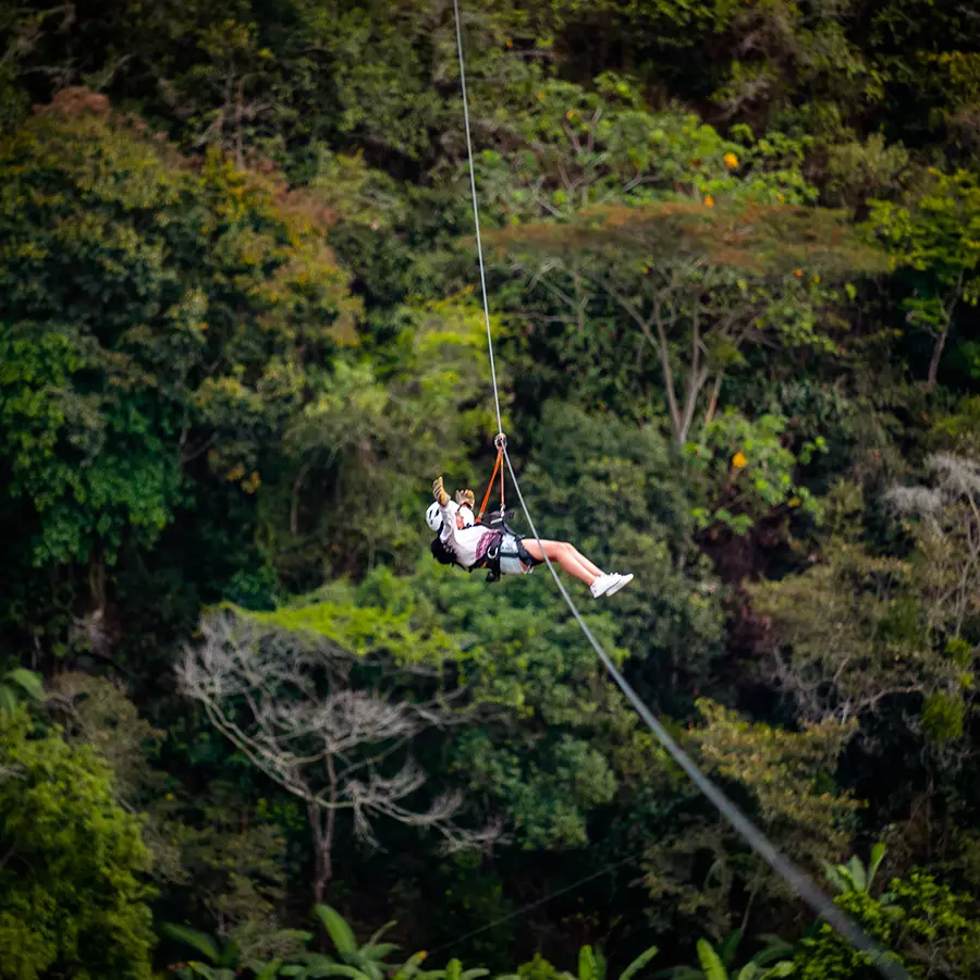 Inca Jungle