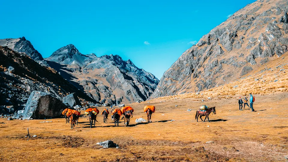 Nossos tropeiros e cavalos em nossas rotas de caminhada no Peru