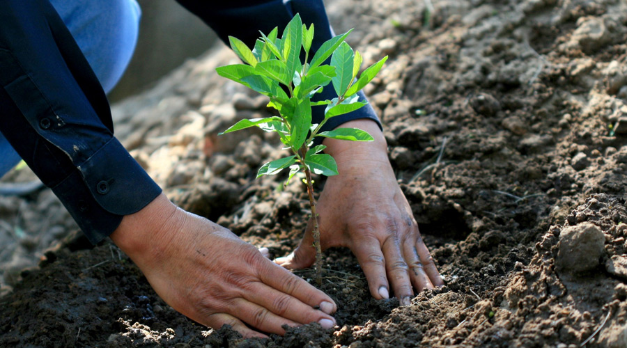 Nossa responsabilidade ambiental