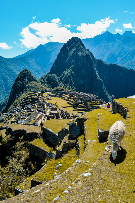Influenciadores em Machu Picchu, Peru